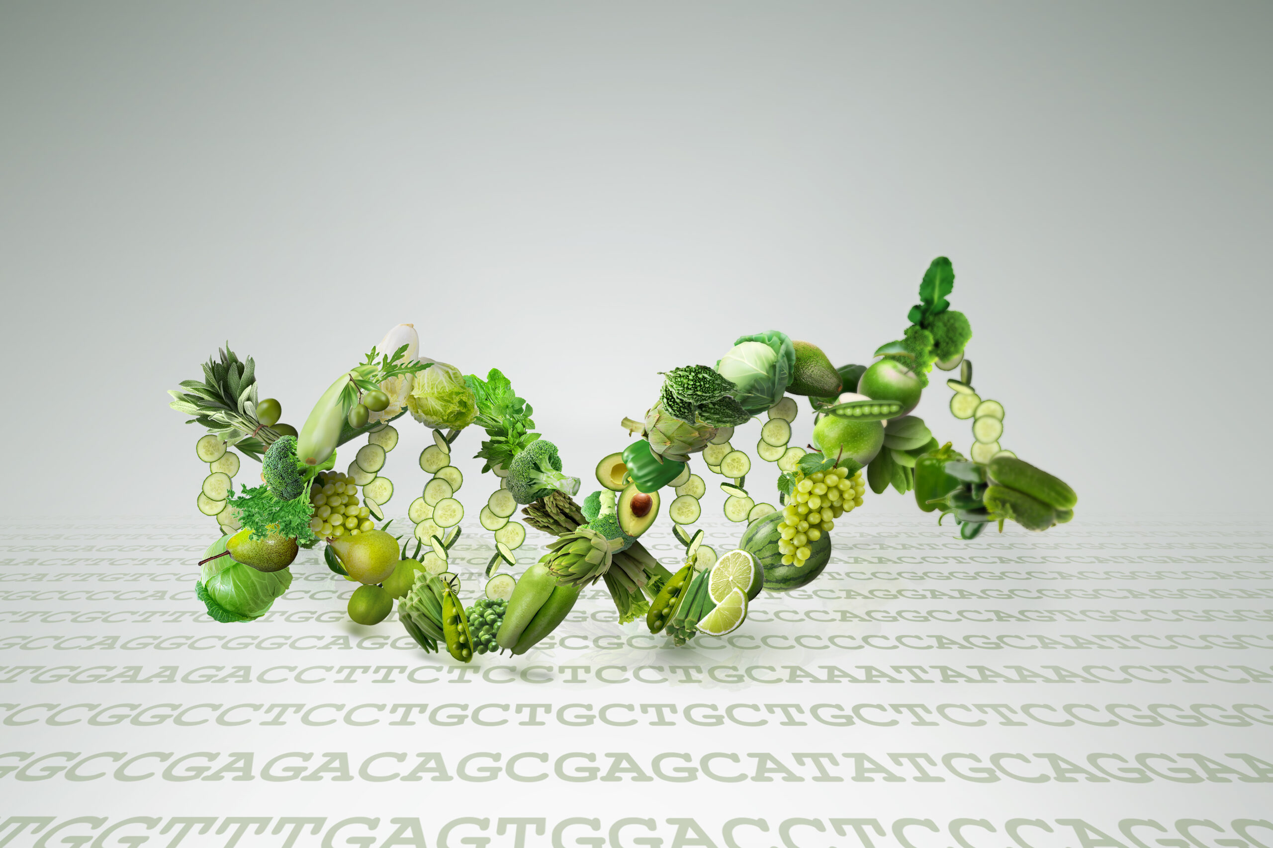 The Rise of Personalized Nutrition: Is It Worth the Hype?