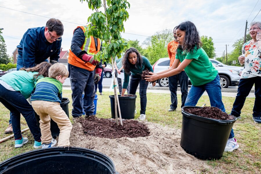Green Cities: Urban Gardening and Local Food Movements