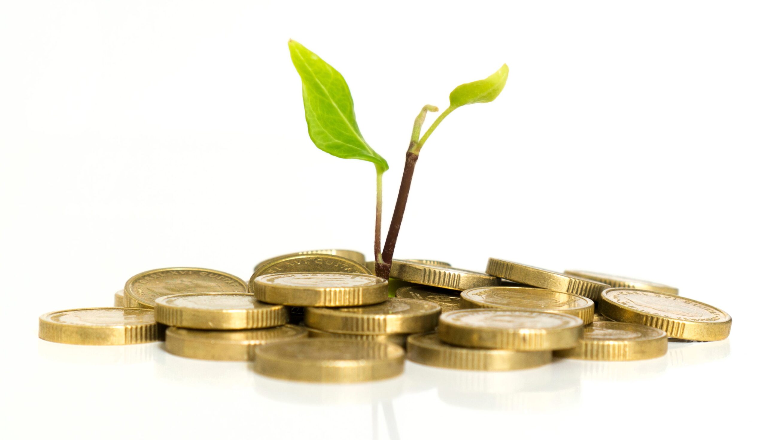 Sustainable Wealth for the Next Generation: Inheriting and Growing Wealth Ethically